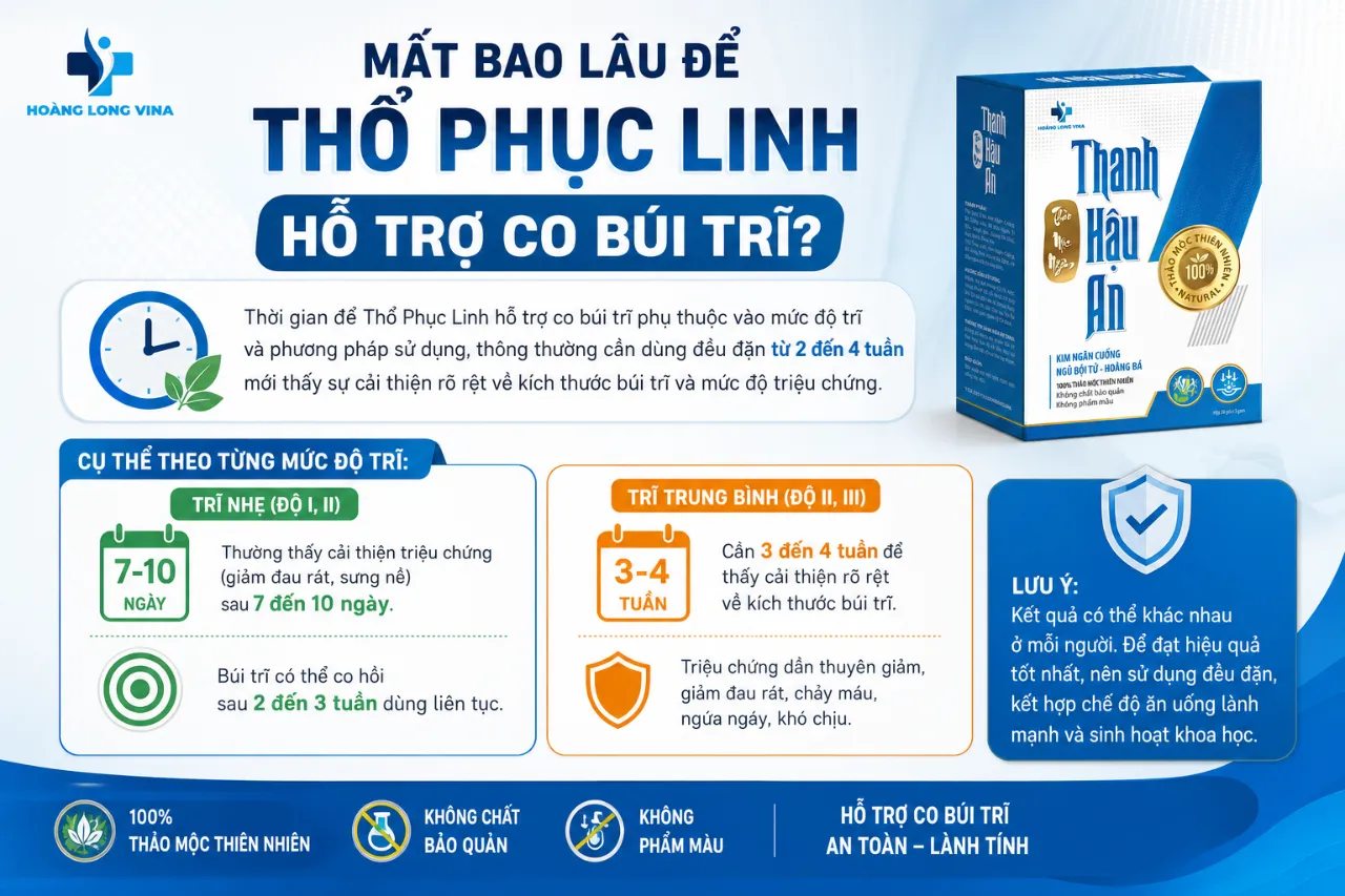 Thổ Phục Linh Có Tác Dụng Gì Với Bệnh Trĩ?