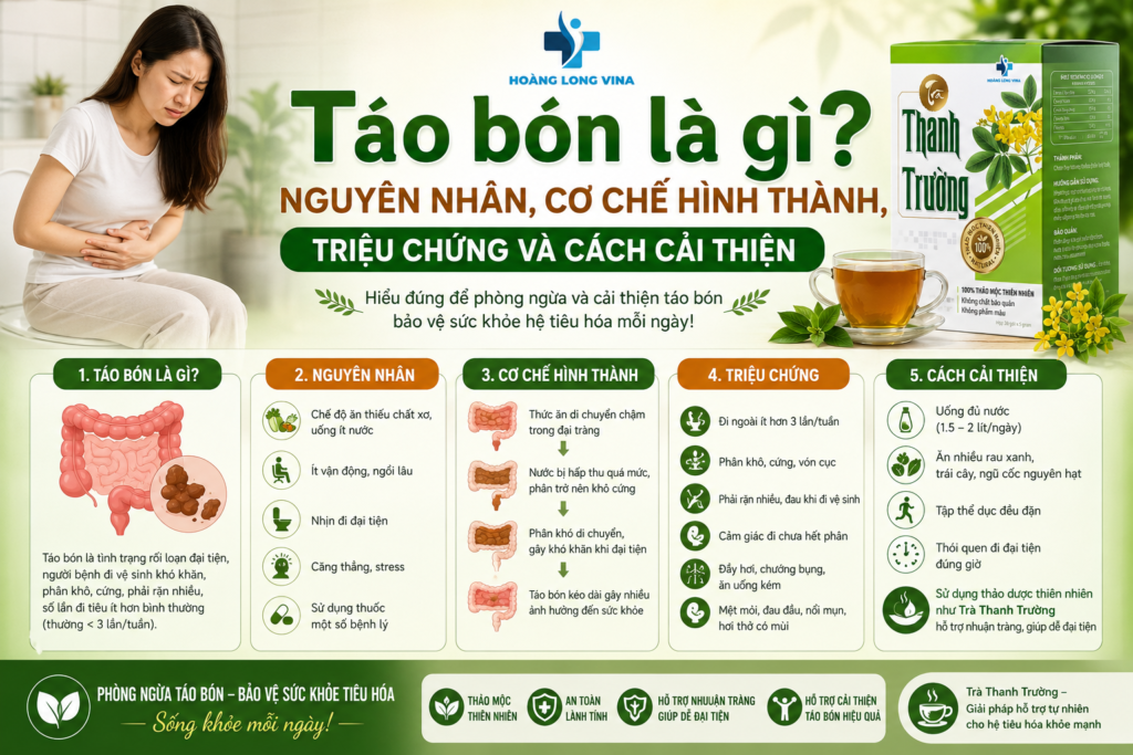 Táo bón là gì? Nguyên nhân, cơ chế hình thành, triệu chứng và cách cải thiện 