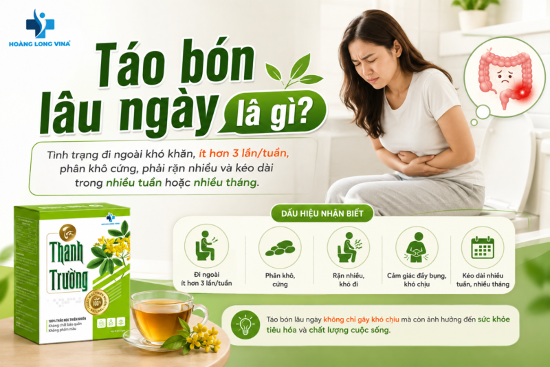 Táo bón lâu ngày: Nguyên nhân, tác hại và cách cải thiện