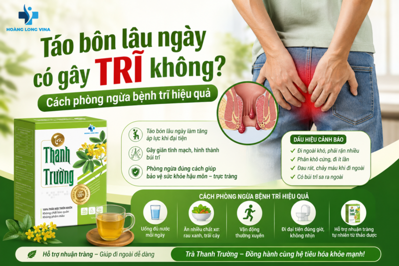 Táo bón lâu ngày có gây trĩ không? Cách phòng ngừa bệnh trĩ hiệu quả
