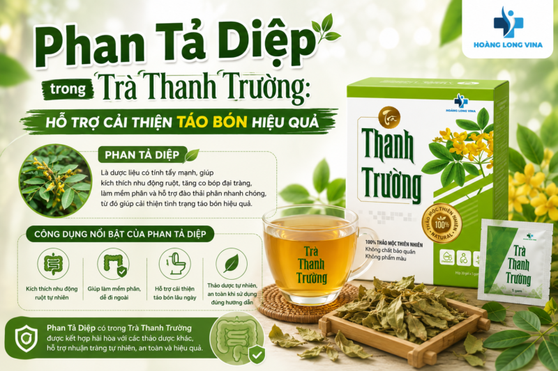 Phan Tả Diệp trong Trà Thanh Trường: Hỗ trợ cải thiện táo bón hiệu quả