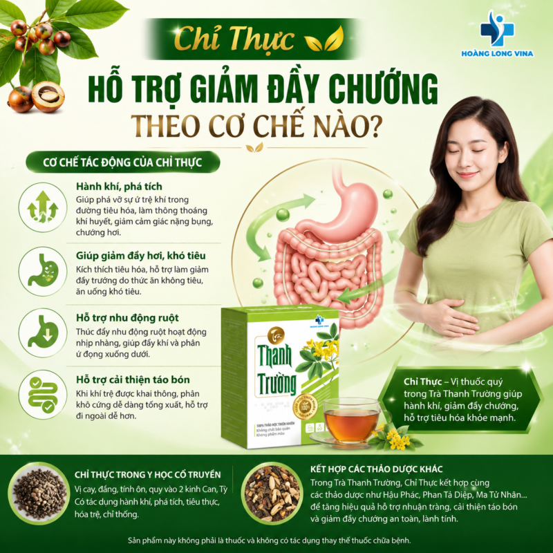 Chỉ Thực trong Trà Thanh Trường hỗ trợ giảm đầy chướng như thế nào?