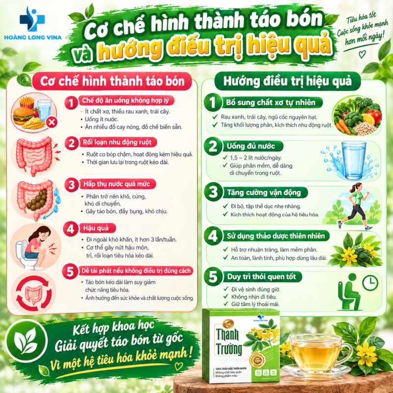 Cơ chế hình thành táo bón và hướng điều trị hiệu quả