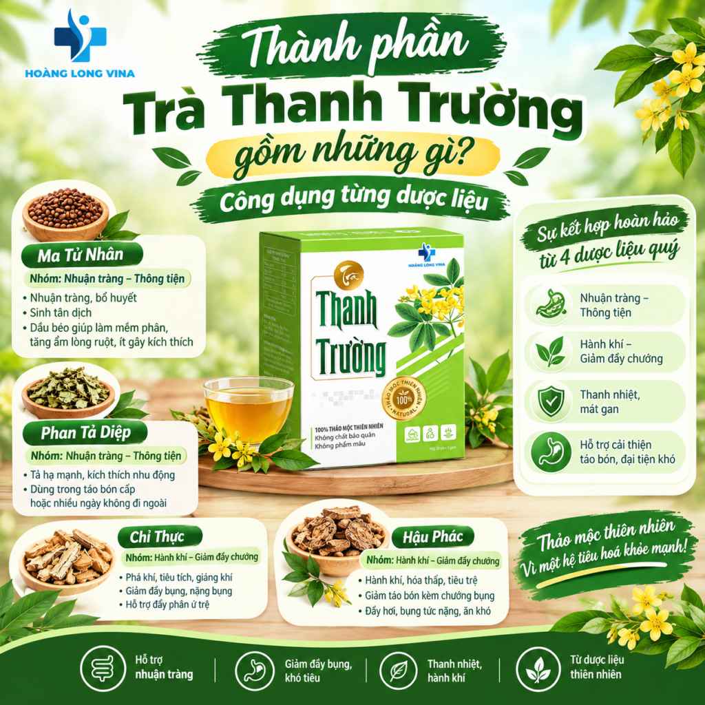 Thành phần Trà Thanh Trường gồm những gì? Công dụng từng dược liệu 