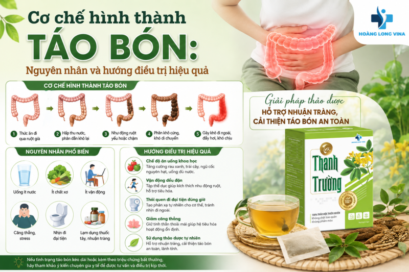 Cơ chế hình thành táo bón: Nguyên nhân và hướng điều trị hiệu quả