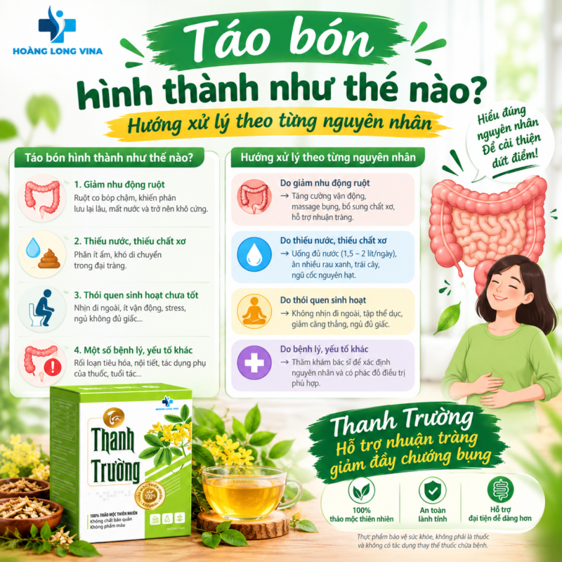 Táo bón hình thành như thế nào? Hướng xử lý theo từng nguyên nhân