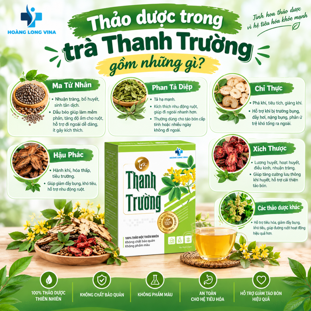 Thảo dược trong trà Thanh Trường gồm những gì? Hỗ trợ cải thiện tiêu hóa 